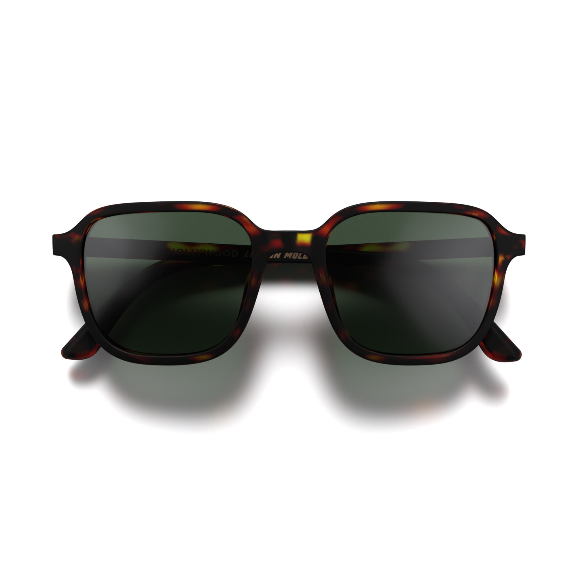 Hollywood sunglasses in matt tortoiseshell with green lenses 