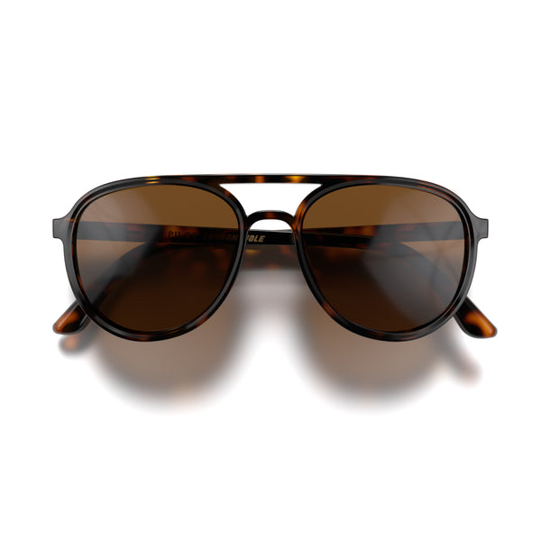 Pilot sunglasses in gloss tortoiseshell with brown lenses